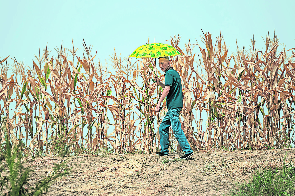 天下事 胡春华赴江西督导农业抗旱   要求尽力降低灾害损失