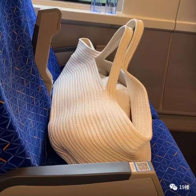 女子搭高铁把娃装进手提袋引网友关注 这样真的安全吗？