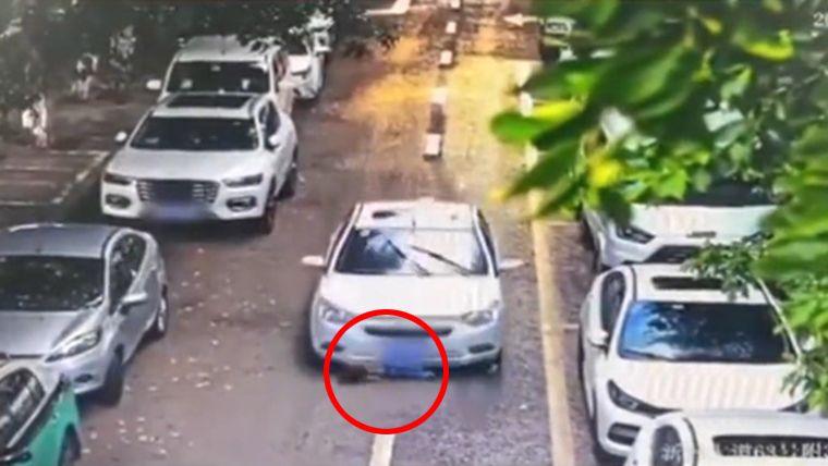 妈妈带小姊妹“放生式过马路” 3岁女急追被撞卷车底