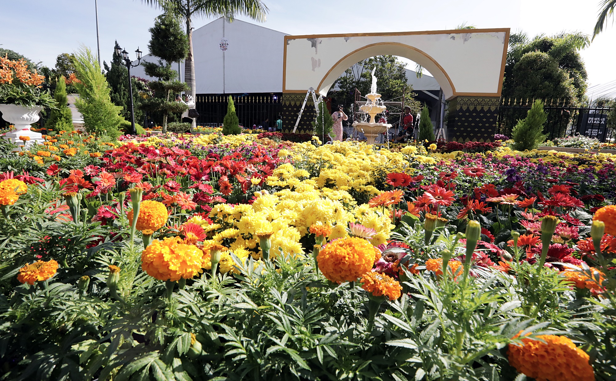 封面-大都会-布城皇家花卉展 11图