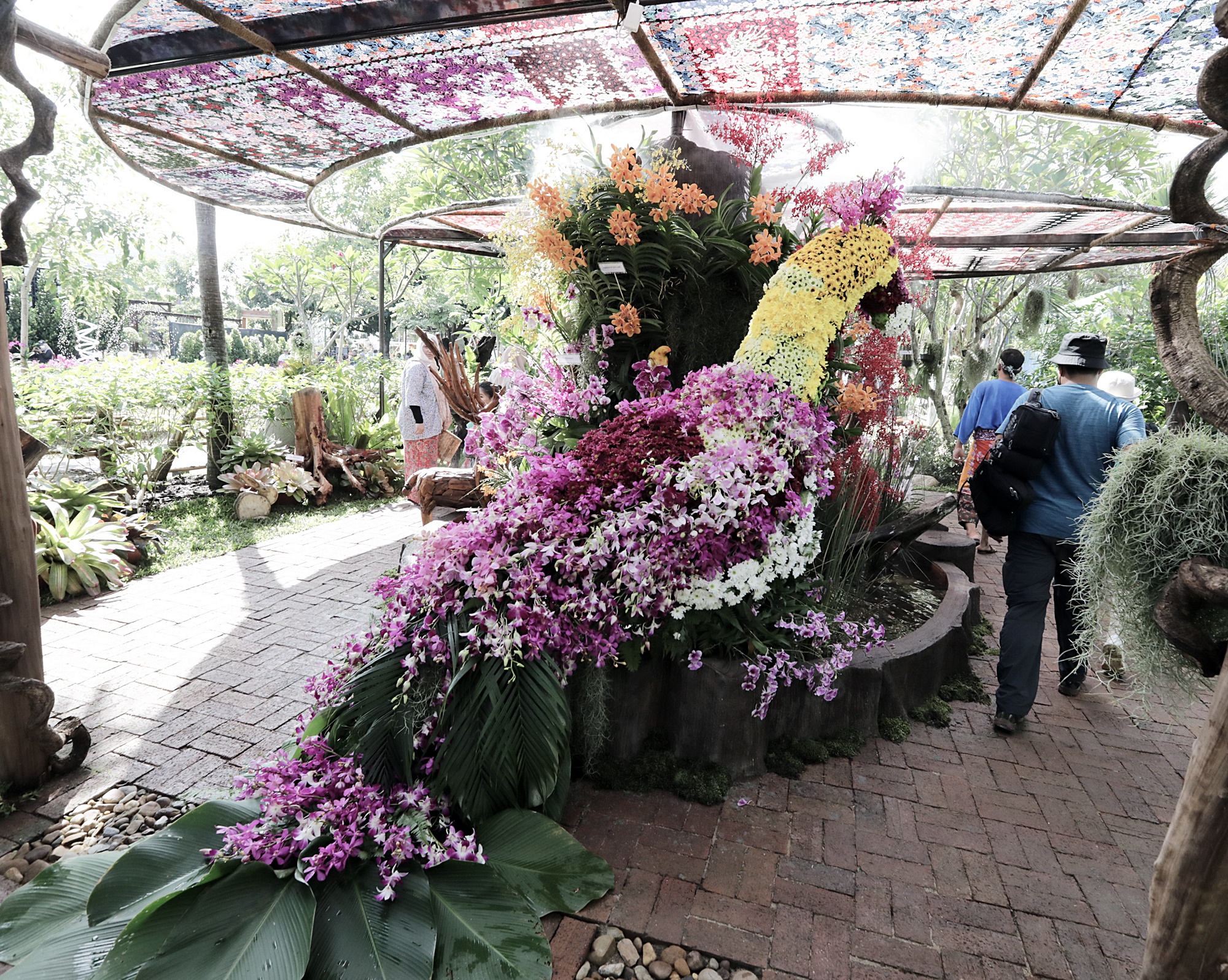 封面-大都会-布城皇家花卉展 11图