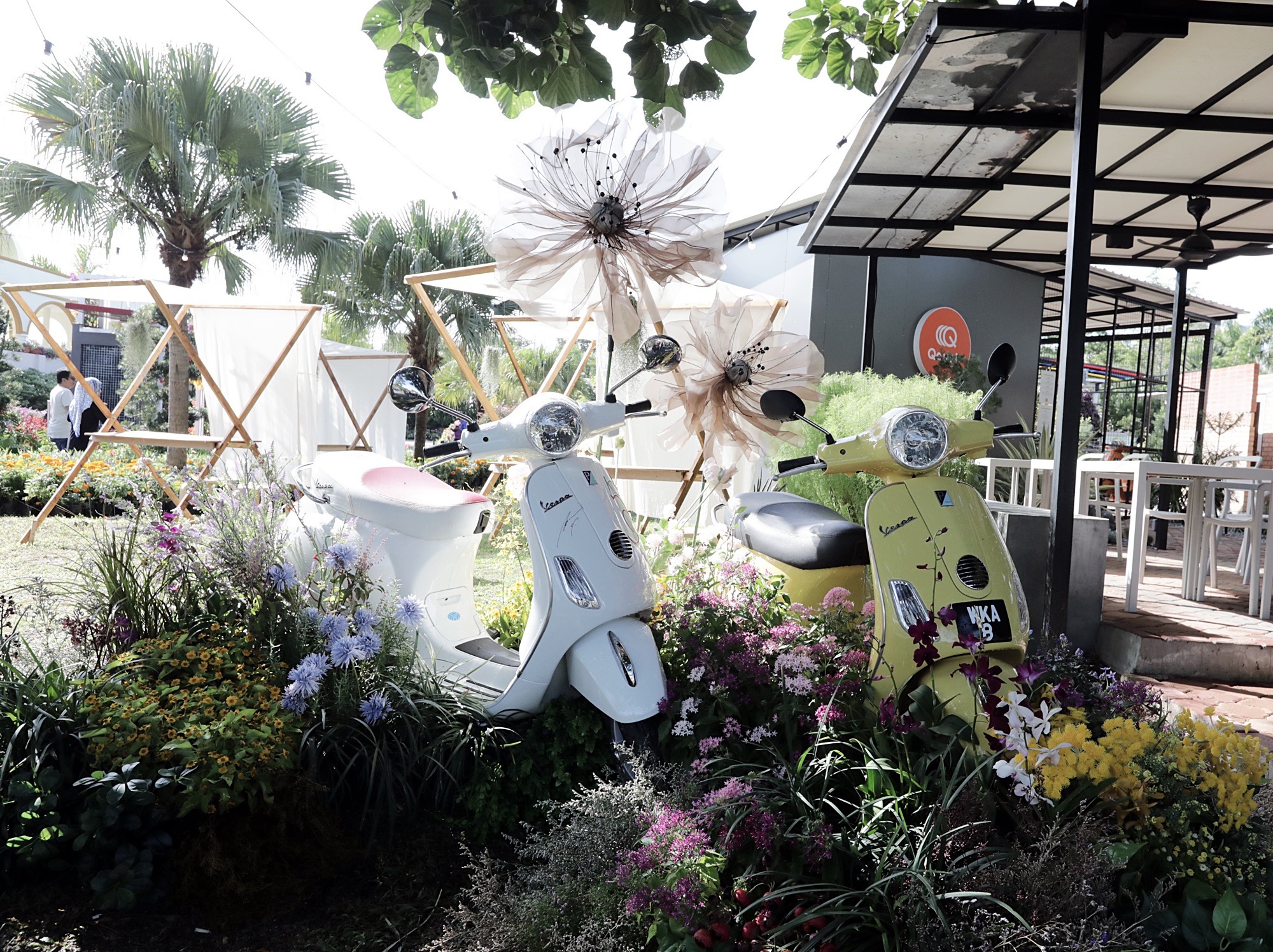 封面-大都会-布城皇家花卉展 11图