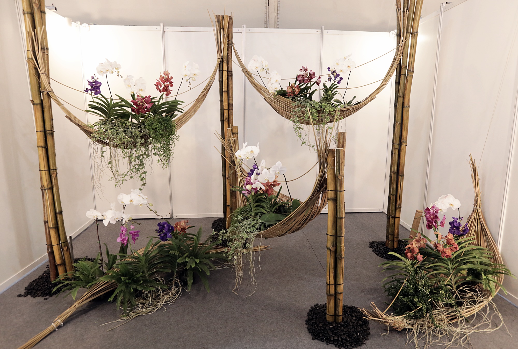 封面-大都会-布城皇家花卉展 11图