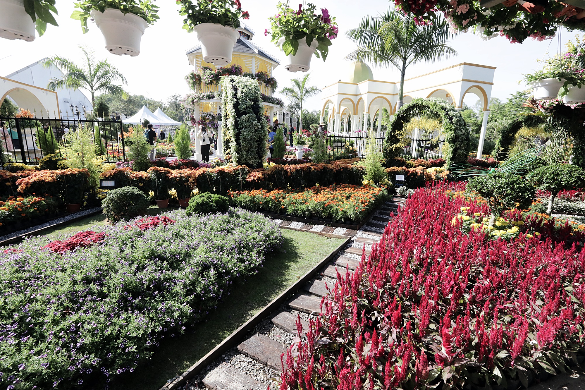 封面-大都会-布城皇家花卉展 11图