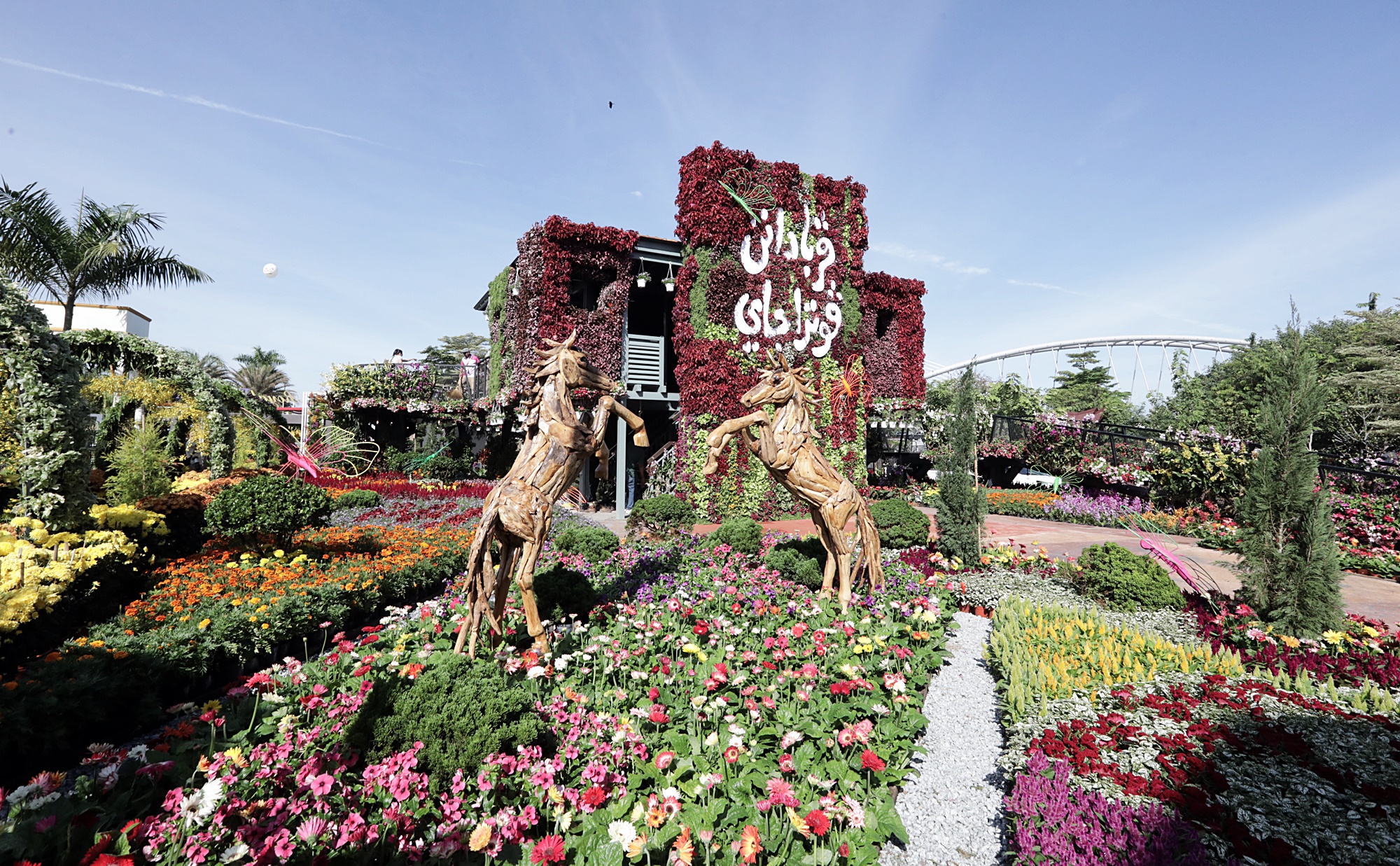 封面-大都会-布城皇家花卉展 11图