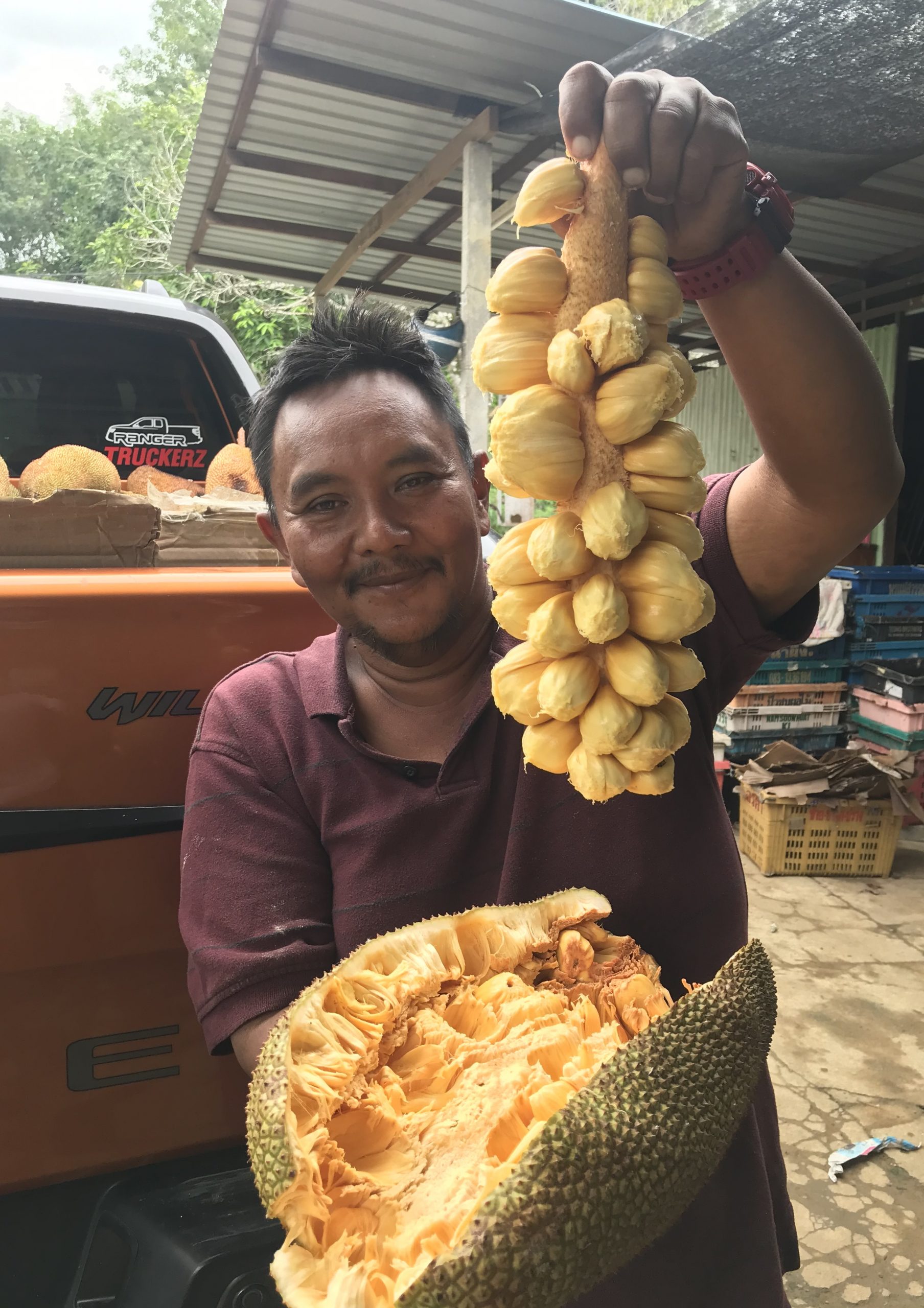 尖不叻季节近尾声 货少价钱回升