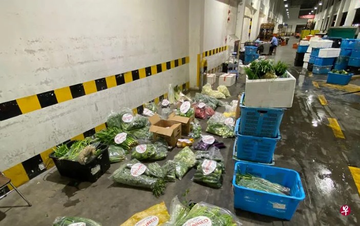 *已签发*柔:狮城二三事:非法进口378公斤蔬果 食品供应商及董事各罚5000新元