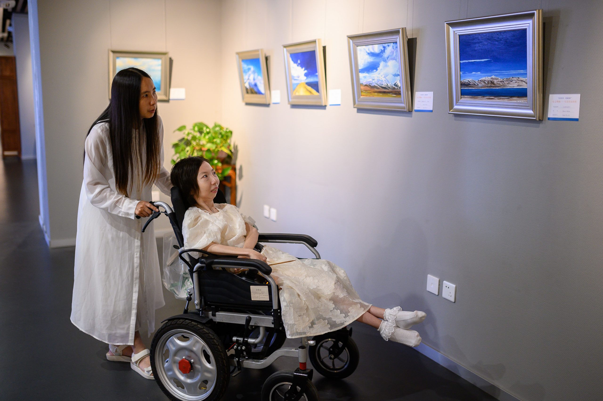 拼盘/“折翼”画家的个人画展圆梦记