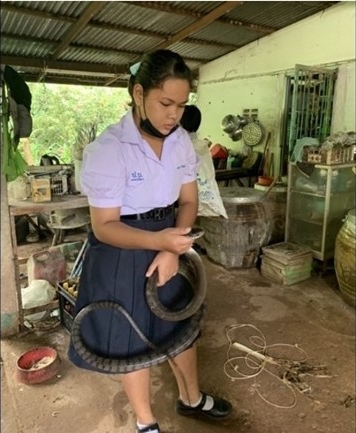 拼盘／女中学生当义工徒手捉蛇　网上爆红