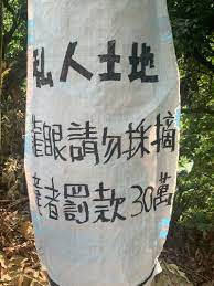 拼盘/市民偷摘龙眼 农民挂警告标语阻吓