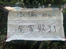 拼盘/市民偷摘龙眼 农民挂警告标语阻吓