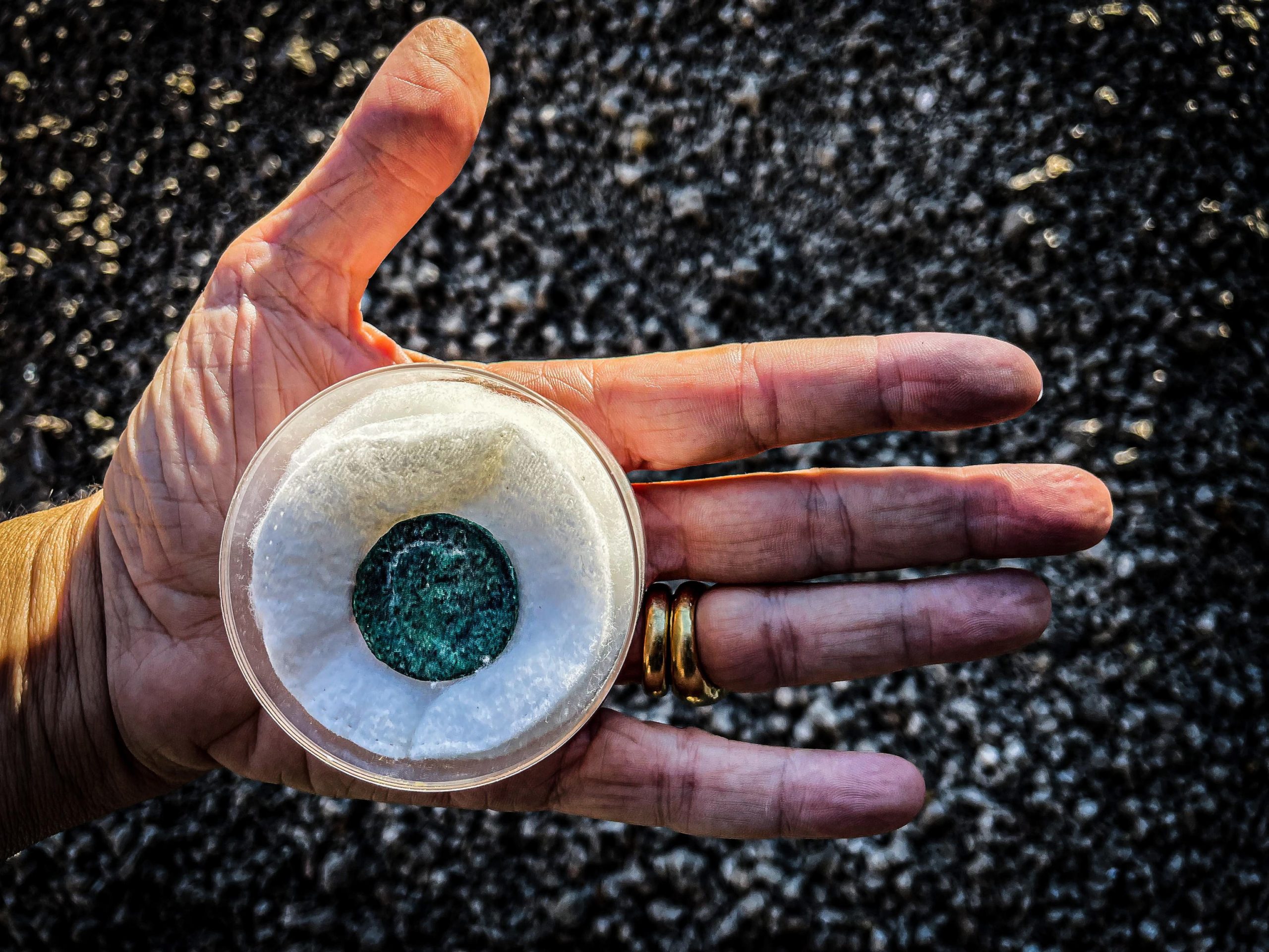 拼盘/庞贝古城遗迹出土玻璃制品 刻画中产阶级生活