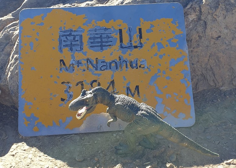 拼盘／民众登山遗恐龙娃娃　成争相拍照对象