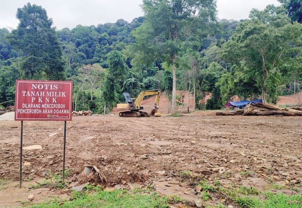 日莱峰山脚开发森林 村民:忧山洪 PKNK:已停工