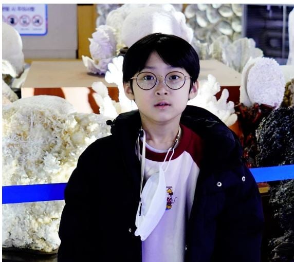 智商204!韩9岁天才儿童 明年将就读首尔明星高中