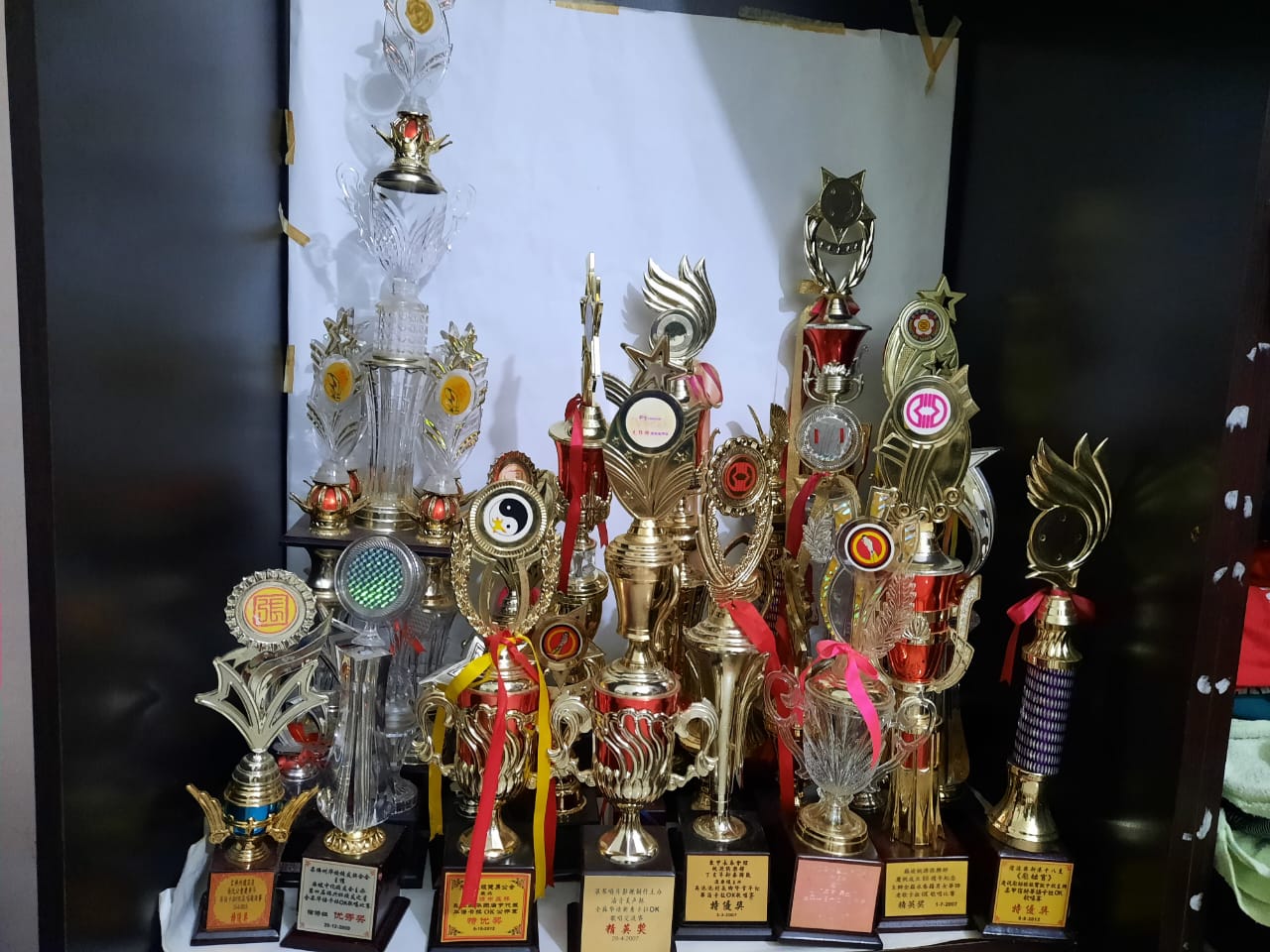 有故事的人(8月16日见报):快乐充实的乐龄生活--康敏