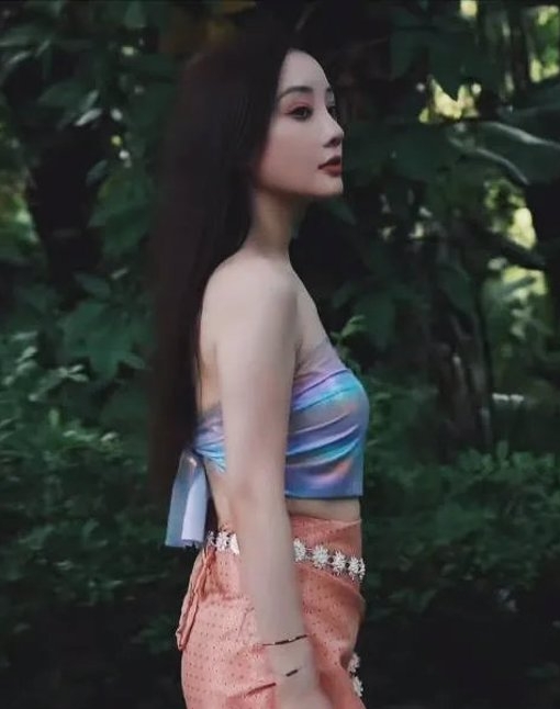 李小璐穿太露礼佛 遭轰触犯寺庙禁忌