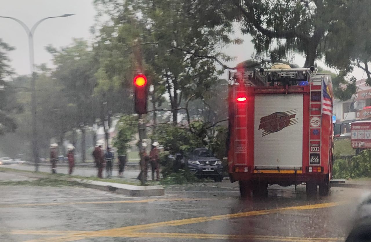 柔：30尺大树倒下砸坏车，横搁路中阻挡车辆