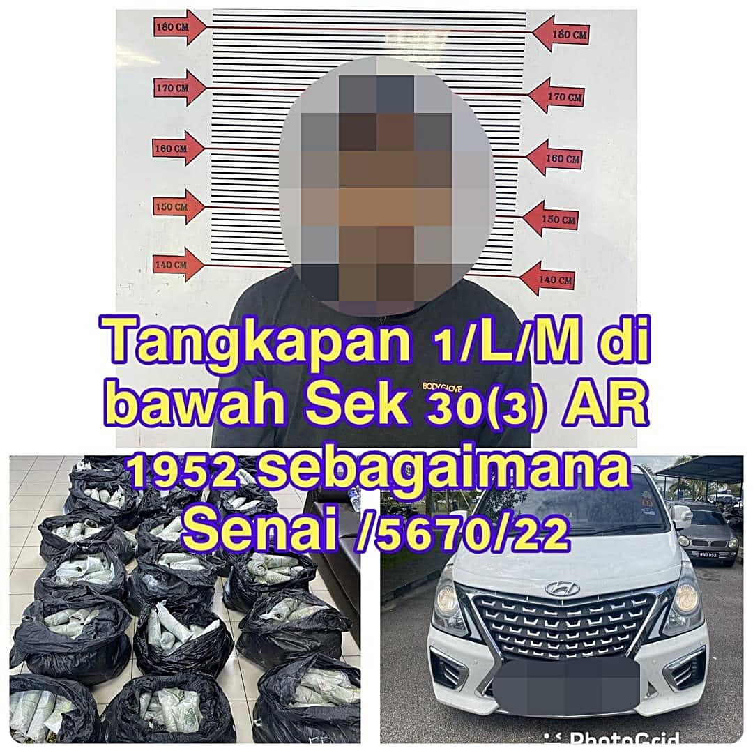 交警在昨早行动中扣一涉嫌运哥冬叶的男子