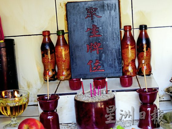            榴梿园里的众生缘，浪浪安身的天地