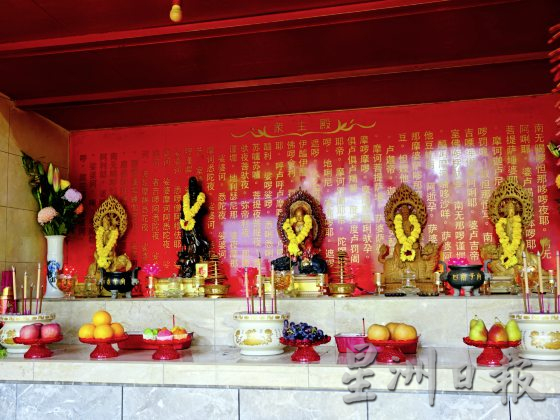            榴梿园里的众生缘，浪浪安身的天地