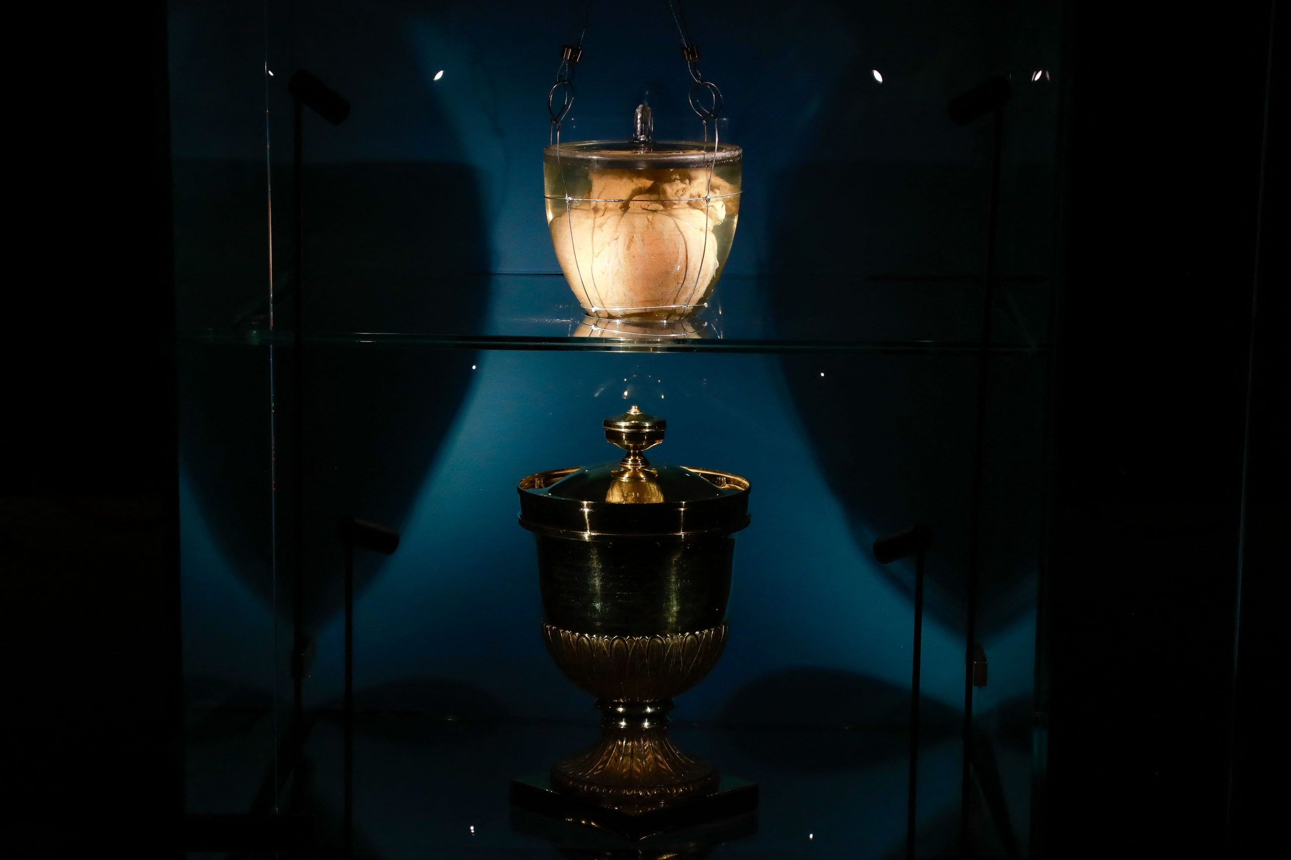 每日一展 2图 巴西庆独立200年 从葡萄牙迎回佩德罗一世心脏