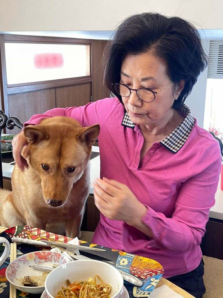 汪明荃庆生喂爱犬吃蛋糕 疑含巧克力挨批没常识