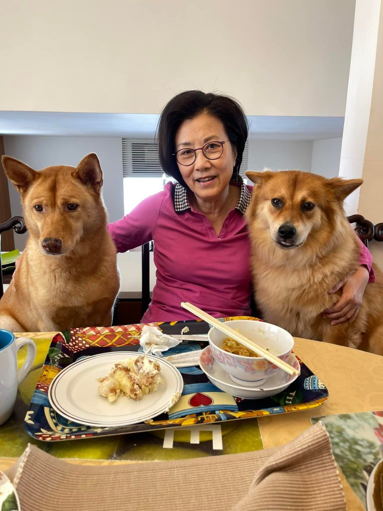 汪明荃庆生喂爱犬吃蛋糕 疑含巧克力挨批没常识