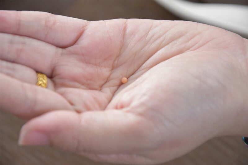 泰国情侣庆生意外发财 吃螺肉吃到12万罕见珍珠