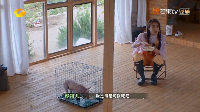 牧野家族｜​为捞金豁出去？ 容祖儿吃猪粮惹热议	