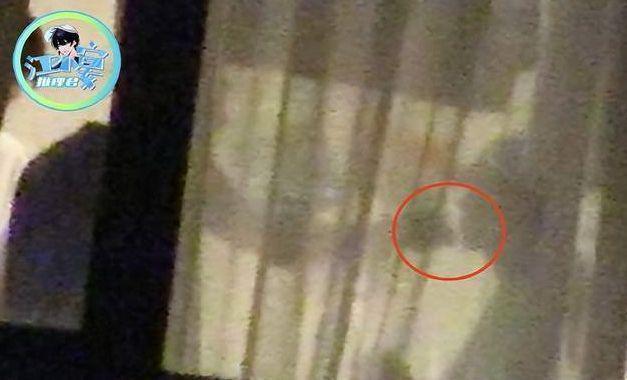 狗仔加码放出喂蛋糕视频 杨紫疑撒谎被打脸