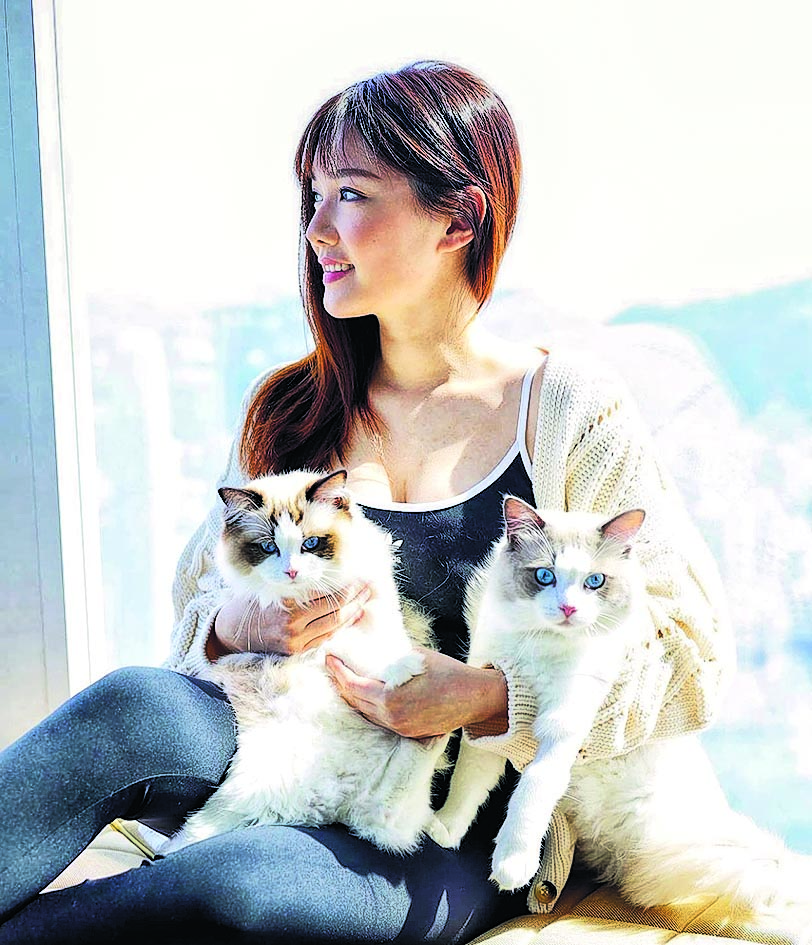 猫毛泄蜜 马国明认同居汤洛雯