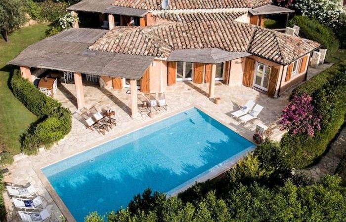 看世界 　AI扫空拍照查未申报泳池 法国补收大笔税金 