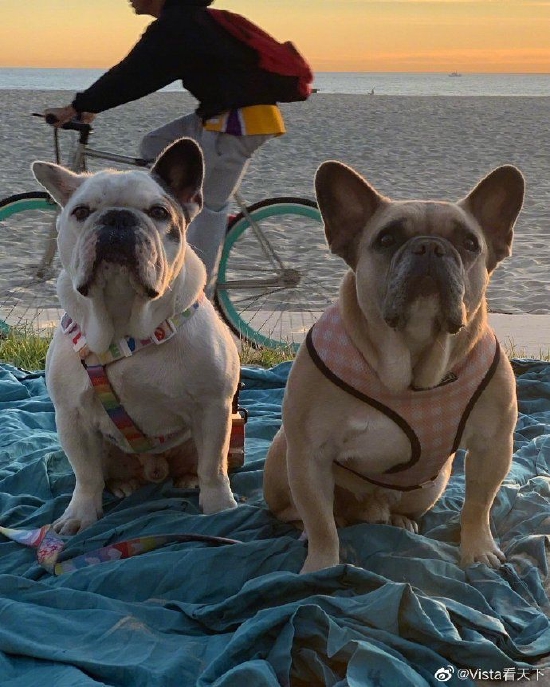 确定加入《小丑2》 女神卡卡有望演新一代小丑女	