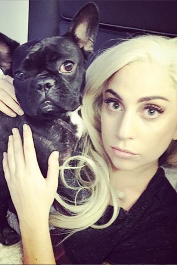 确定加入《小丑2》 女神卡卡有望演新一代小丑女	