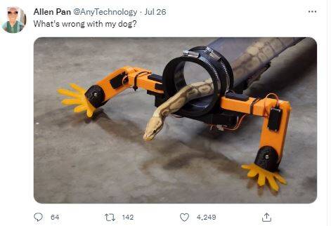 美国网红爱蛇成痴 竟帮蛇装上义肢