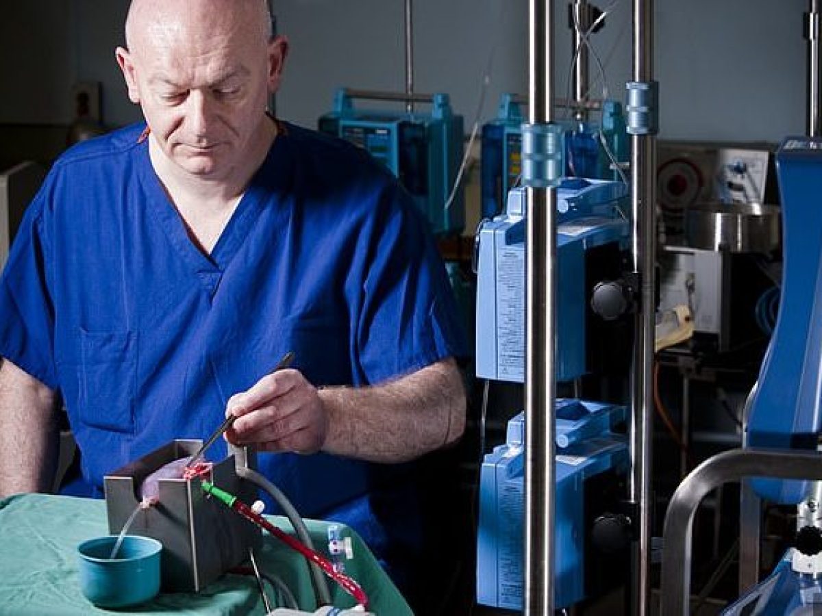 英科学家成功改变肾脏血型 创器官移植医学突破