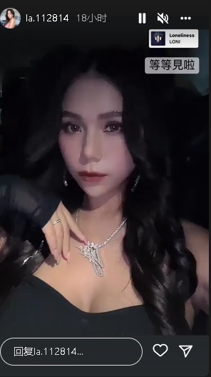 蕾菈大马演出遇警察突击检查 表演中断向粉丝道歉