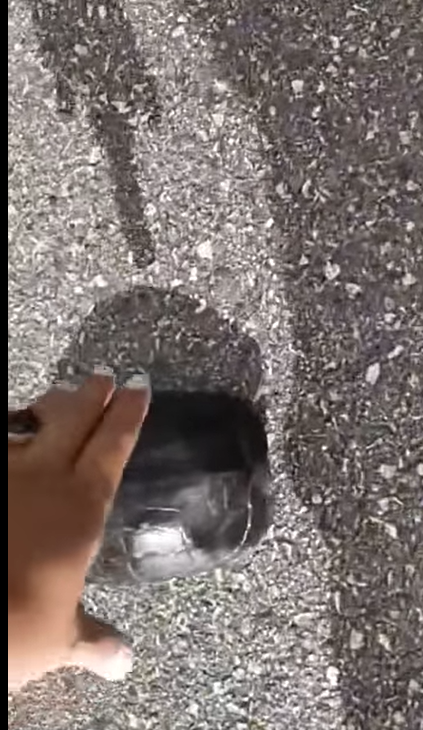 警察遇小乌龟过马路·停车助乌龟快速过马路