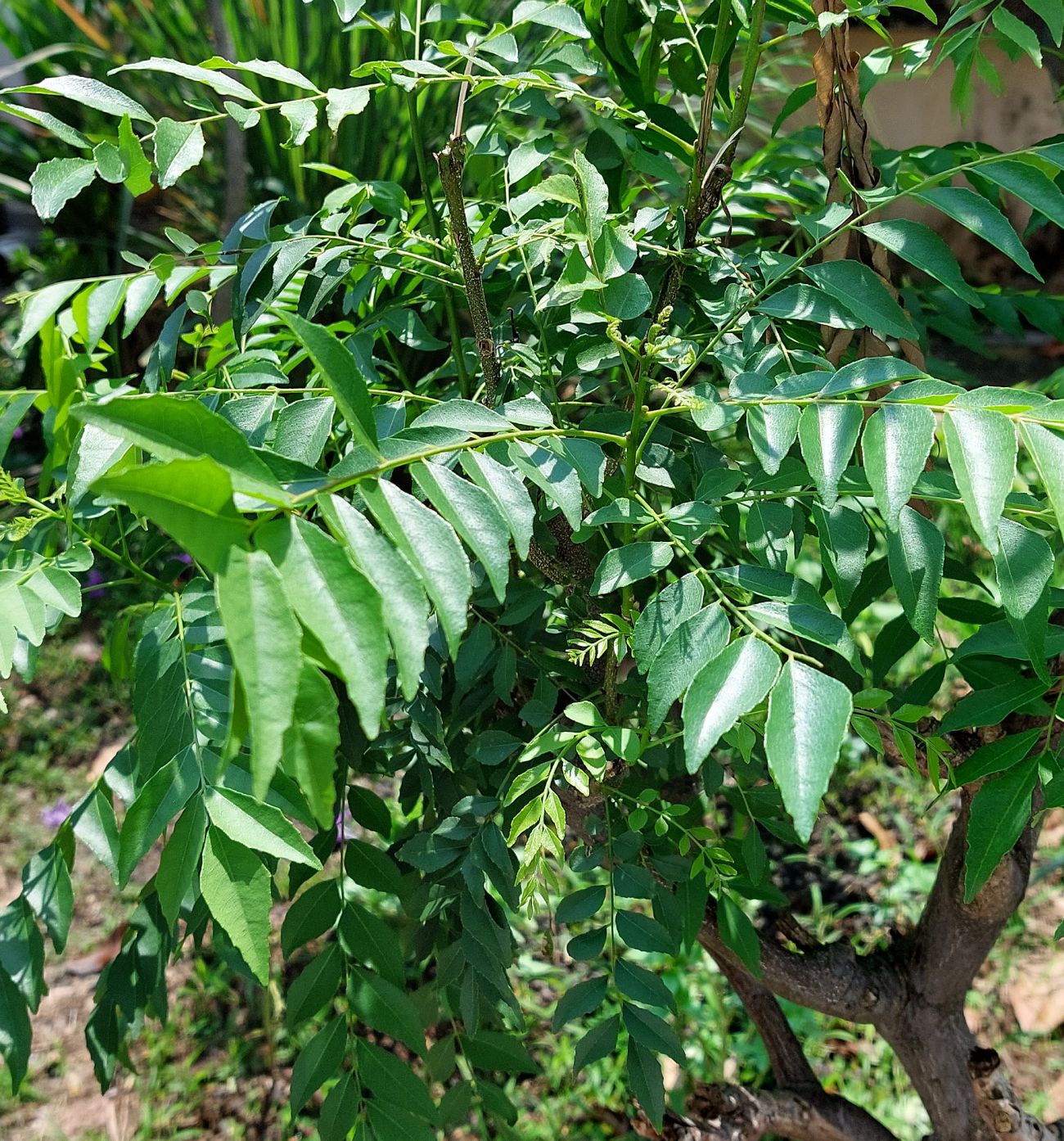 说故事的人记录葡村事迹