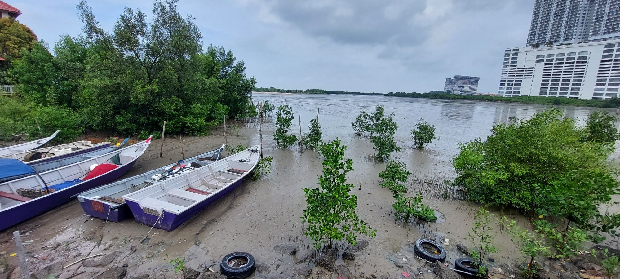 说故事的人记录葡村事迹