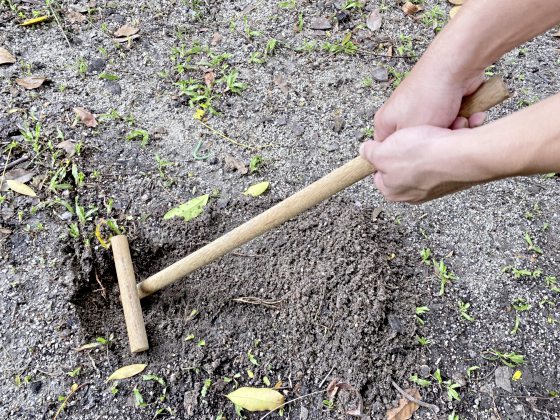郑锦华／​斩鸡头