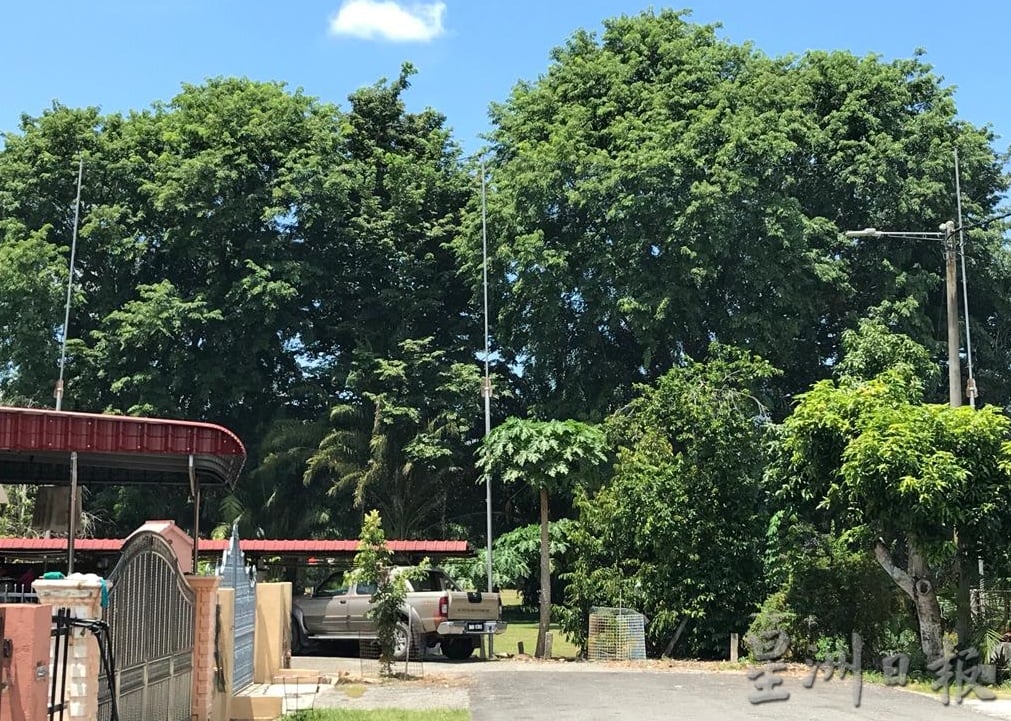 霹/显著/为了解决高球飞出界破坏民宅 江沙市会寻求拨款建保护网