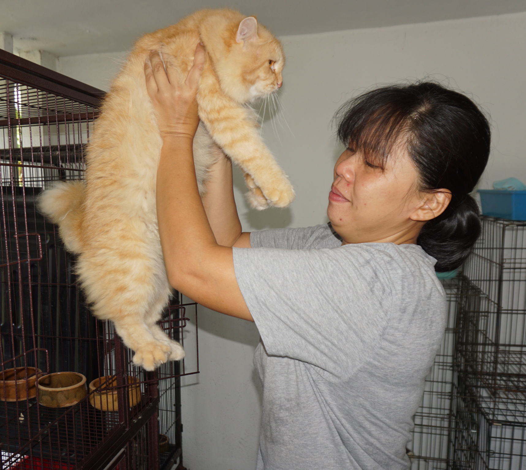 霹：20日见报／封底主文／【我家萌竉】爱上猫