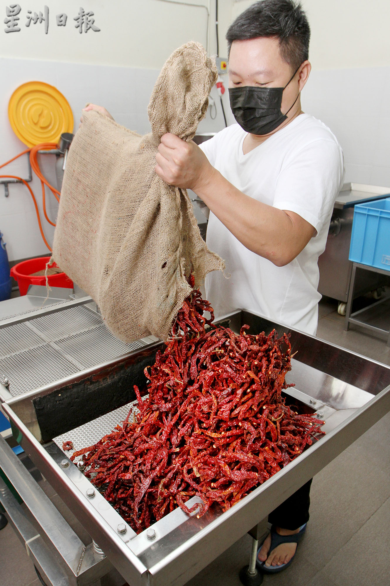 霹：封底主文／它的诞生/ 中印辣椒制辣椒沫 鲜红呛辣刺激味蕾