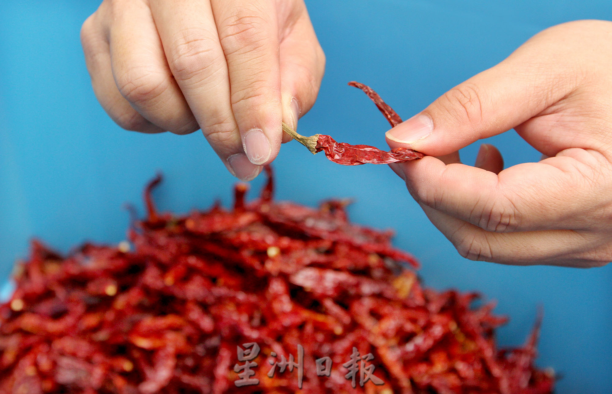 霹:封底主文/它的诞生/ 中印辣椒制辣椒沫 鲜红呛辣刺激味蕾