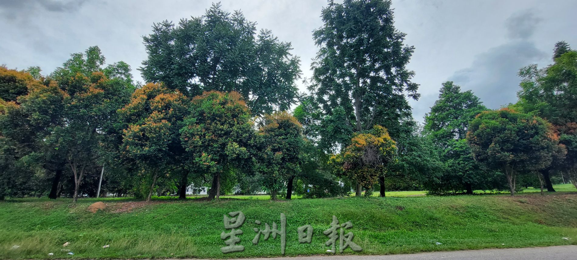 (古城封面主文)发展商计划建沟、扩路、辟跑道增运动设施,解决居民的懮虑