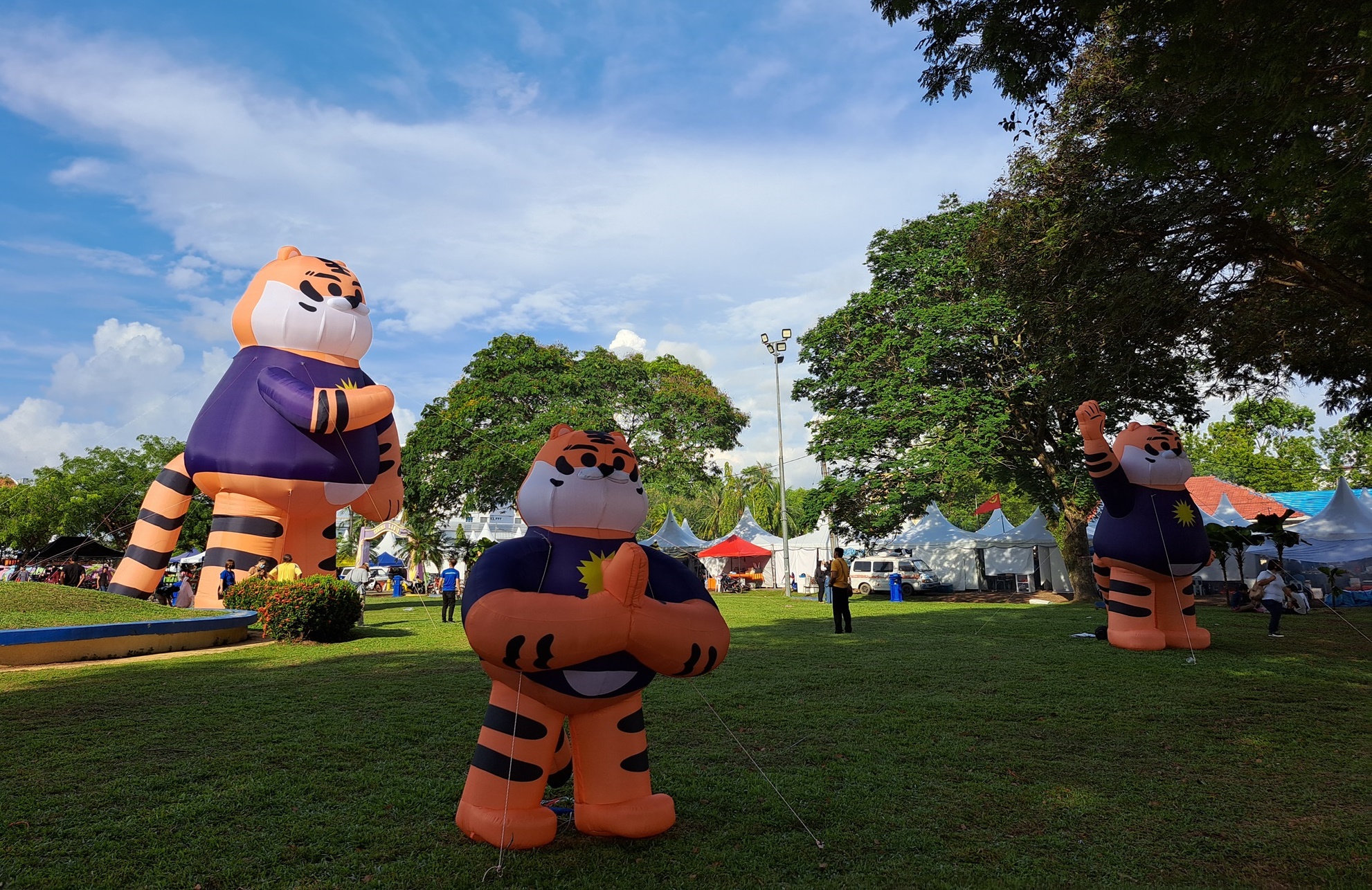 9只亚罗士打之虎(亚虎)集合在亚罗士打电讯塔广场,与民众一同欢庆65周年国庆日。