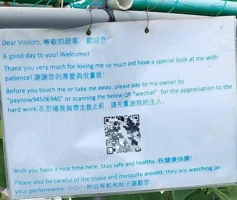 新骗局?租用园区现‘扫码捐款’ 当局已报警