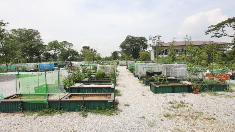 新骗局?租用园区现‘扫码捐款’ 当局已报警